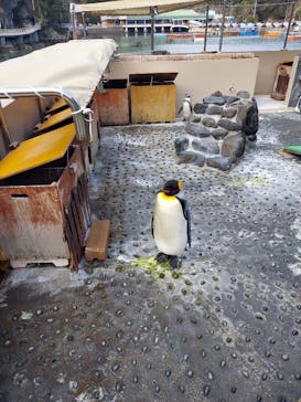 下田海中水族館に投稿された画像（2021/1/16）