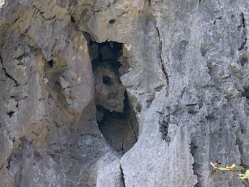 アスムイハイクスに投稿された画像（2021/1/16）