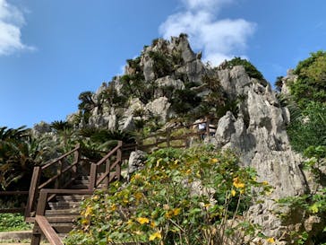 アスムイハイクスに投稿された画像（2021/1/16）