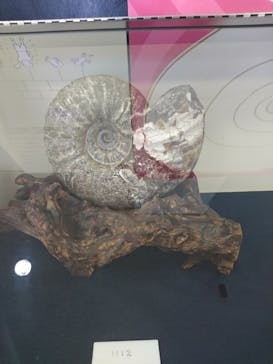 ネオパークオキナワに投稿された画像（2021/1/16）