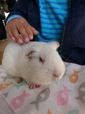 ネオパークオキナワに投稿された画像（2021/1/16）