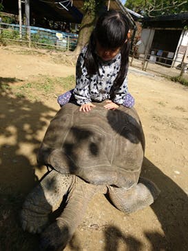 ネオパークオキナワに投稿された画像（2021/1/16）