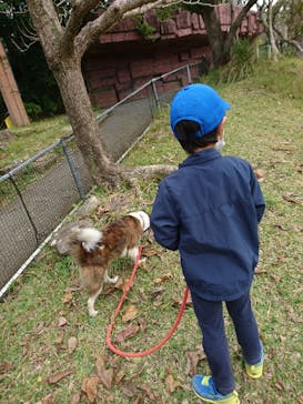 ネオパークオキナワに投稿された画像（2021/1/16）