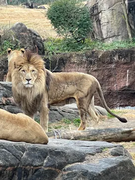 天王寺動物園に投稿された画像（2021/1/16）