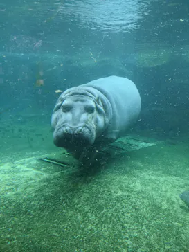 天王寺動物園に投稿された画像（2021/1/16）