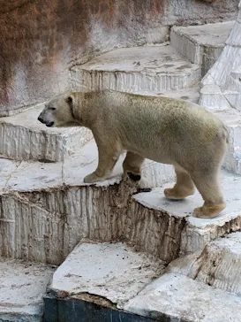 天王寺動物園に投稿された画像（2021/1/16）