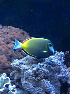 サンシャイン水族館に投稿された画像（2021/1/16）