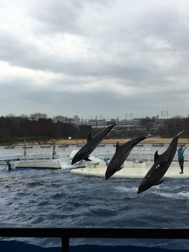 京都水族館に投稿された画像（2021/1/16）