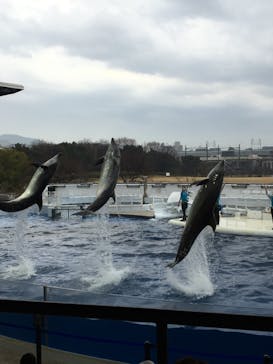 京都水族館に投稿された画像（2021/1/16）