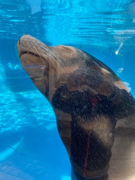 サンシャイン水族館に投稿された画像（2021/1/16）