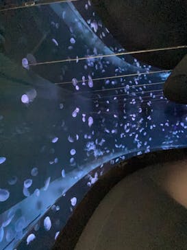 サンシャイン水族館に投稿された画像（2021/1/16）