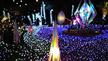 江の島シーキャンドルに投稿された画像（2021/1/16）