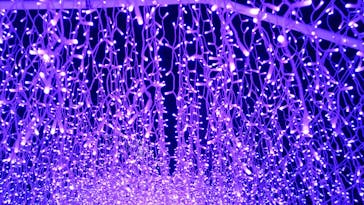 江の島シーキャンドルに投稿された画像（2021/1/16）