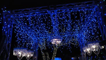 江の島シーキャンドルに投稿された画像（2021/1/16）