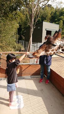 しろとり動物園に投稿された画像（2021/1/16）