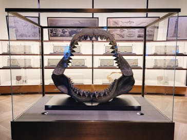 アクアワールド茨城県大洗水族館に投稿された画像（2021/1/17）