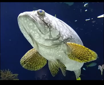 マリンワールド海の中道に投稿された画像（2021/1/17）