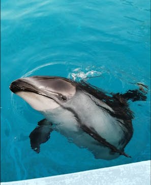 マリンワールド海の中道に投稿された画像（2021/1/17）