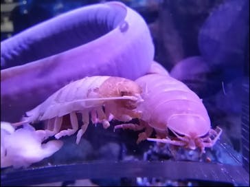 マリンワールド海の中道に投稿された画像（2021/1/17）