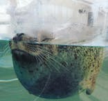 京都水族館に投稿された画像（2021/1/17）