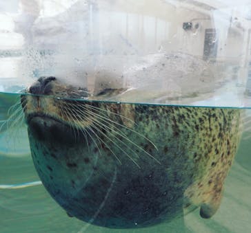 京都水族館に投稿された画像（2021/1/17）