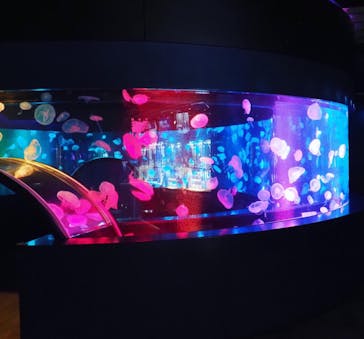 京都水族館に投稿された画像（2021/1/17）