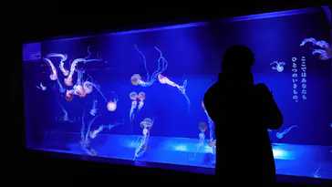 すみだ水族館に投稿された画像（2021/1/17）