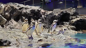 すみだ水族館に投稿された画像（2021/1/17）