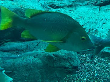 大分マリーンパレス水族館 「うみたまご」に投稿された画像（2021/1/17）