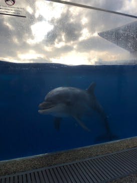 京都水族館に投稿された画像（2021/1/17）