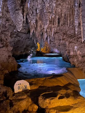 おきなわワールドに投稿された画像（2021/1/17）