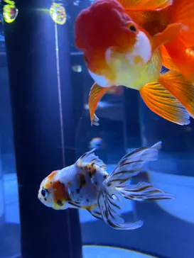 すみだ水族館に投稿された画像（2021/1/17）