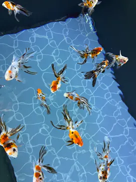 すみだ水族館に投稿された画像（2021/1/17）