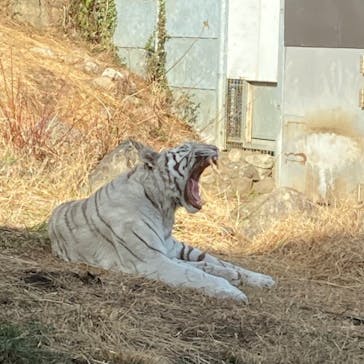 伊豆アニマルキングダムに投稿された画像（2021/1/17）