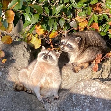 伊豆アニマルキングダムに投稿された画像（2021/1/17）