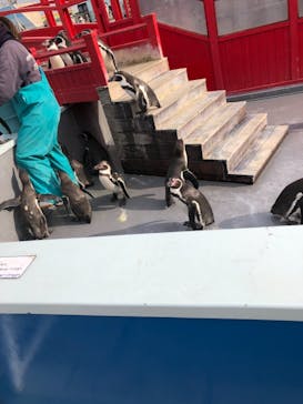 南知多ビーチランド＆南知多おもちゃ王国に投稿された画像（2021/1/17）