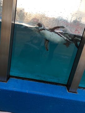 南知多ビーチランド＆南知多おもちゃ王国に投稿された画像（2021/1/17）