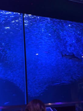 南知多ビーチランド＆南知多おもちゃ王国に投稿された画像（2021/1/17）