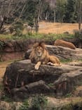 天王寺動物園に投稿された画像（2021/1/17）