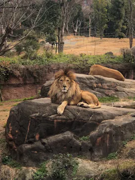 天王寺動物園に投稿された画像（2021/1/17）
