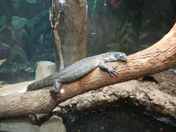 天王寺動物園に投稿された画像（2021/1/17）