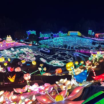 伊豆ぐらんぱる公園に投稿された画像（2021/1/17）