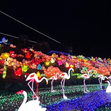 伊豆ぐらんぱる公園に投稿された画像（2021/1/17）