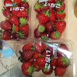 福田フルーツパークに投稿された画像（2021/1/17）