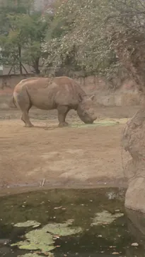 天王寺動物園に投稿された画像（2021/1/17）
