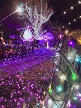 江の島シーキャンドルに投稿された画像（2021/1/17）