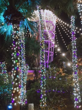 江の島シーキャンドルに投稿された画像（2021/1/17）