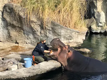 天王寺動物園に投稿された画像（2021/1/17）