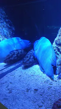 すみだ水族館に投稿された画像（2021/1/17）