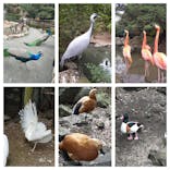 伊豆シャボテン動物公園に投稿された画像（2021/1/17）
